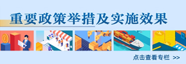 重要政策舉措及實施效果